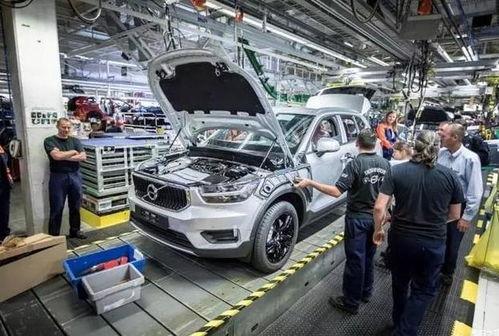 国产车被老外卖疯了视频,老外抢购成疯，揭秘国产车魅力所在