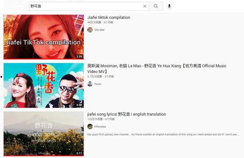 支持国产货源的视频,共筑繁荣发展之路