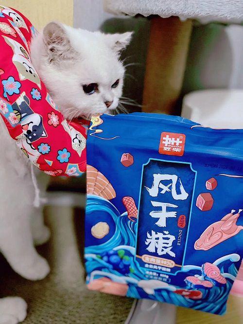 国产猫粮开箱视频教程,揭秘品质与性价比