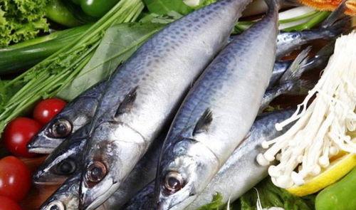 国产鲅鱼还敢吃吗图片视频,放心享用，品质保障