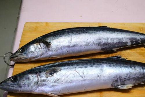 国产鲅鱼还敢吃吗图片视频,放心享用，品质保障