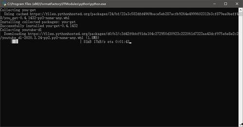 国产午夜理论不卡视频