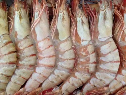 国产野生海捕大虾视频播放,国产海鲜新鲜直供